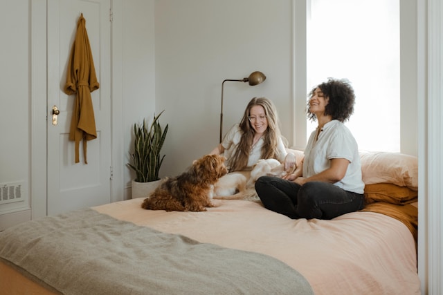 What Are the Benefits of Allowing Pets in Your rented property - barrain